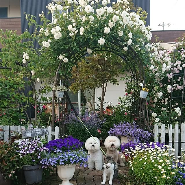 tomotomoさんの実例写真