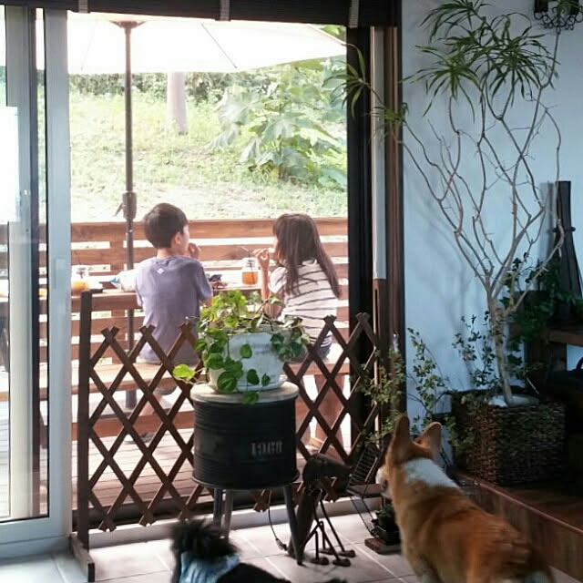 mapiさんの実例写真
