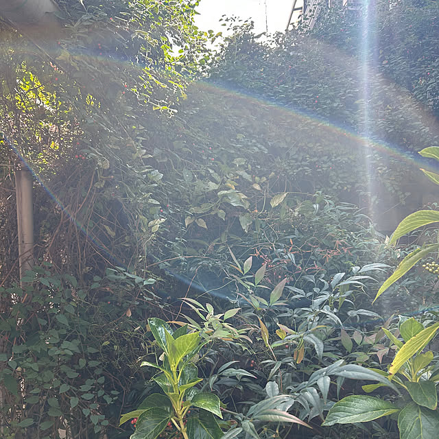 fumikoiさんの部屋