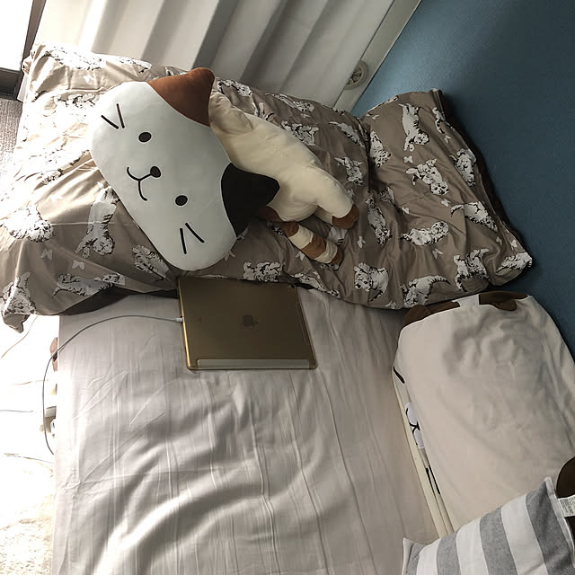 3.y.mickeyさんの実例写真