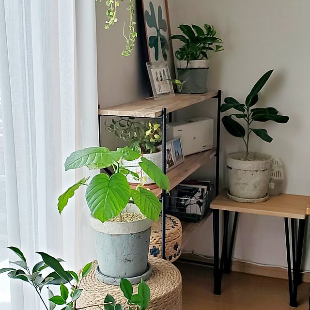 pomさんの部屋