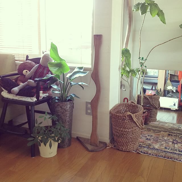 botanさんの実例写真