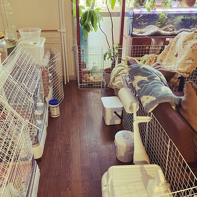 erinyanさんの実例写真