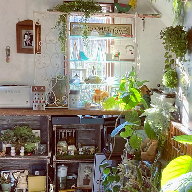 cotaさんの実例写真