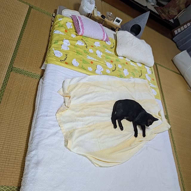 asaさんの実例写真