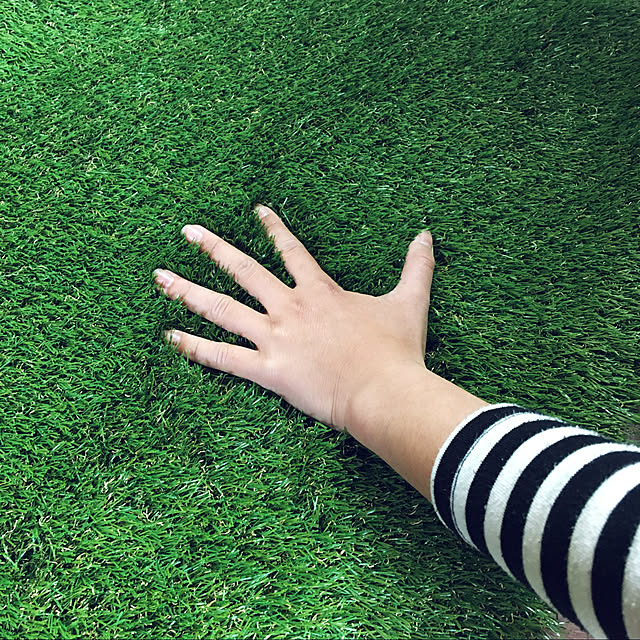 seiさんの実例写真