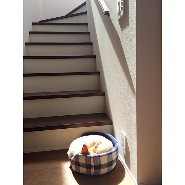 home__kさんの実例写真
