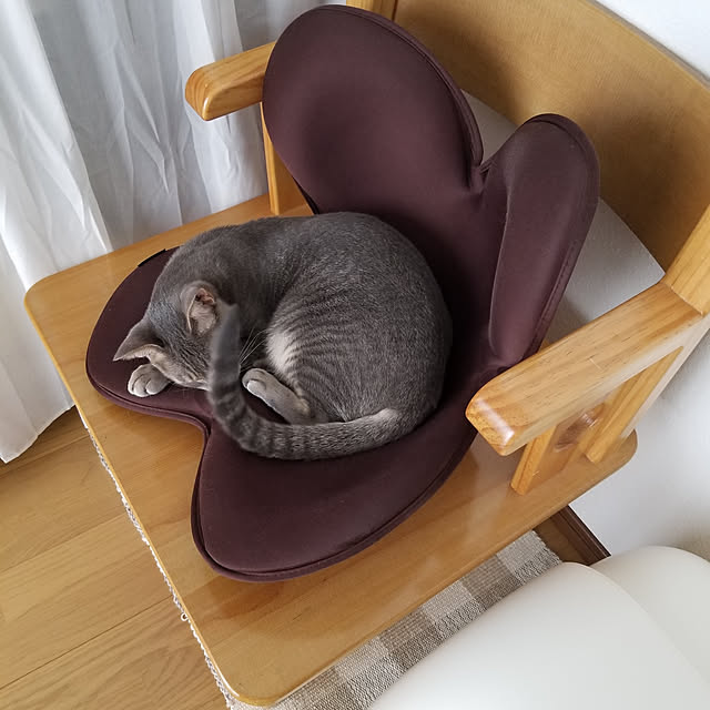 yukiさんの実例写真
