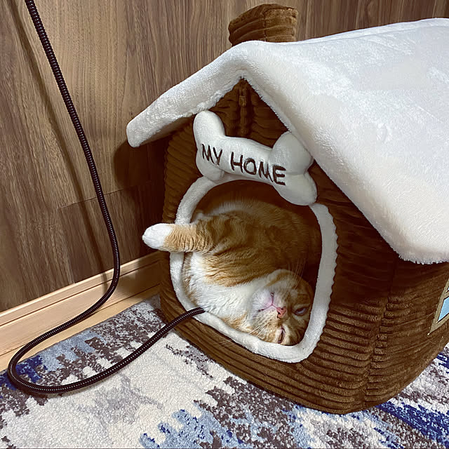 touchinさんの実例写真