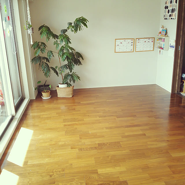 nanaさんの実例写真