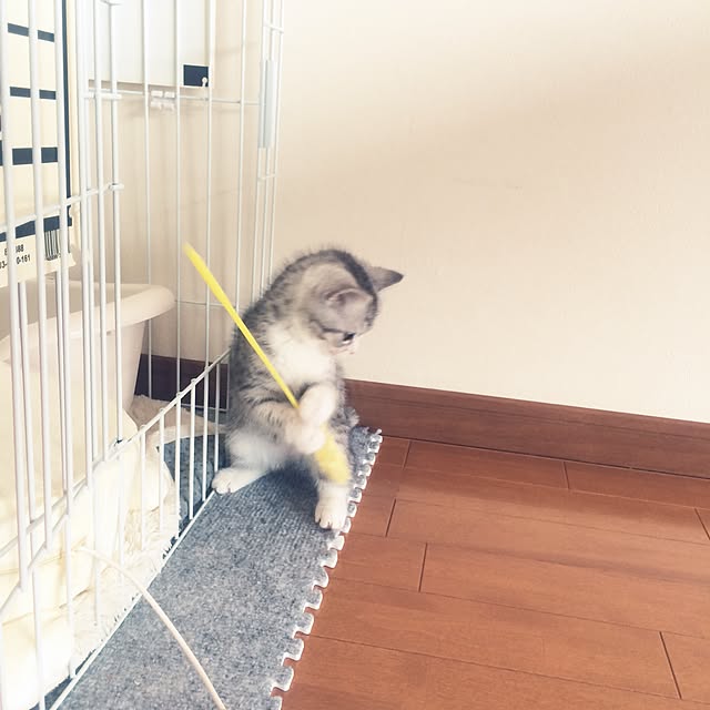 Shojiさんの実例写真