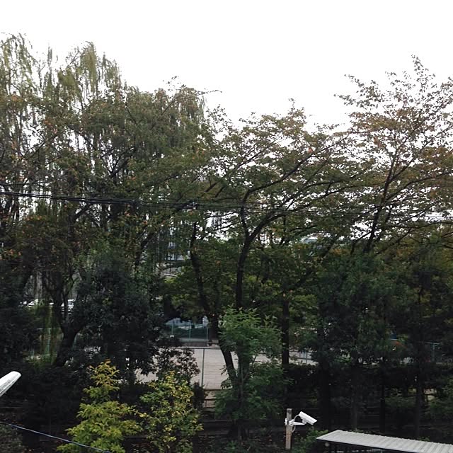 zoosaさんの実例写真
