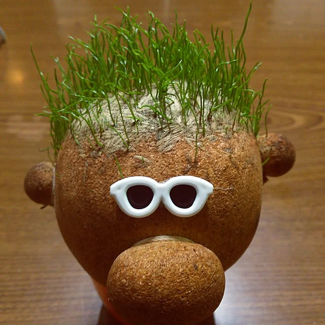 kazuminさんの実例写真