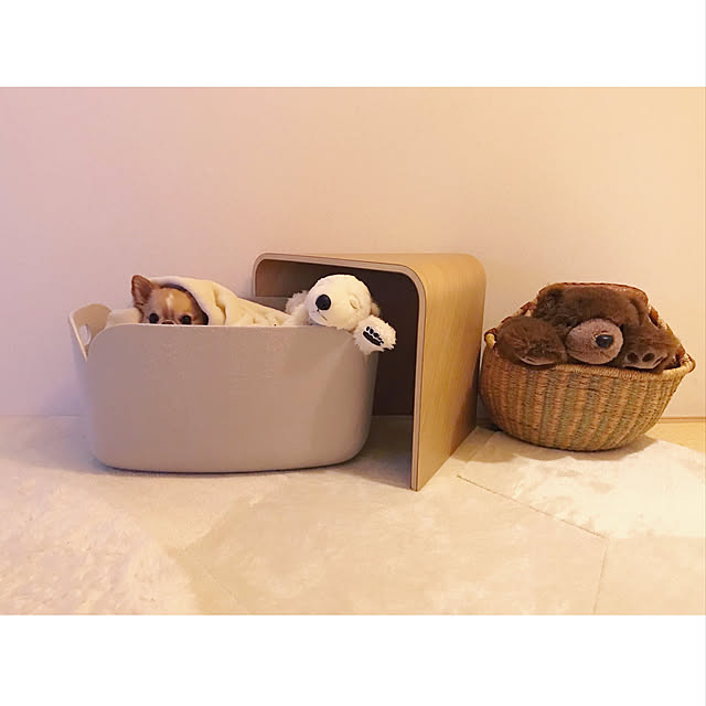 haruhinaさんの実例写真
