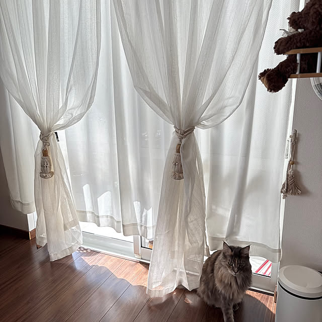 mayumiさんの部屋