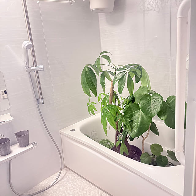 funiさんの実例写真