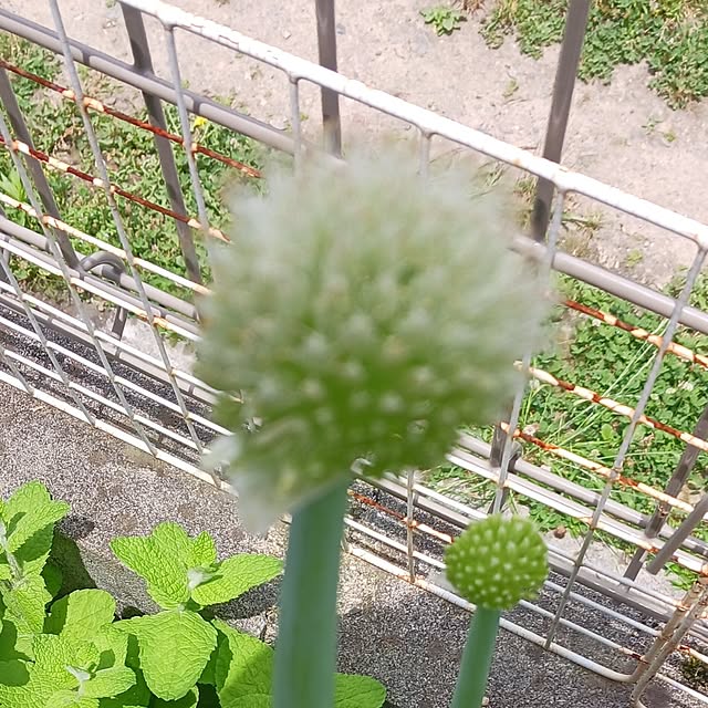 aiさんの実例写真