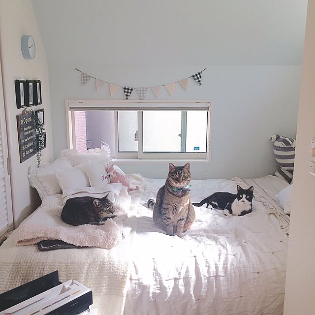 lovecatさんの実例写真