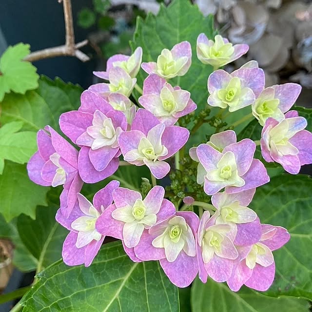 min_nimさんの実例写真