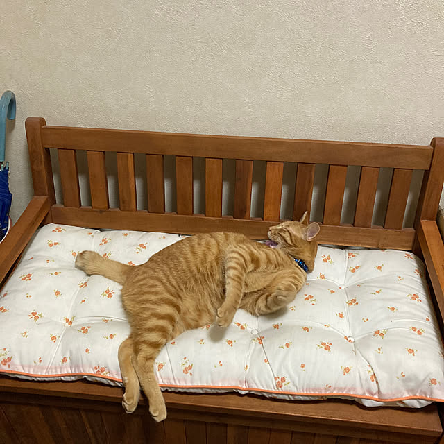 kirakirahoshiさんの部屋