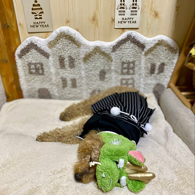 mさんの部屋