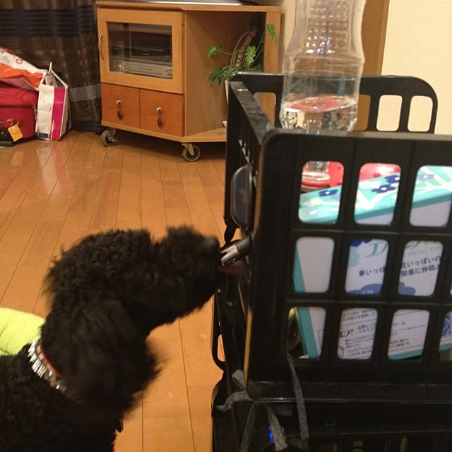 bichuさんの実例写真