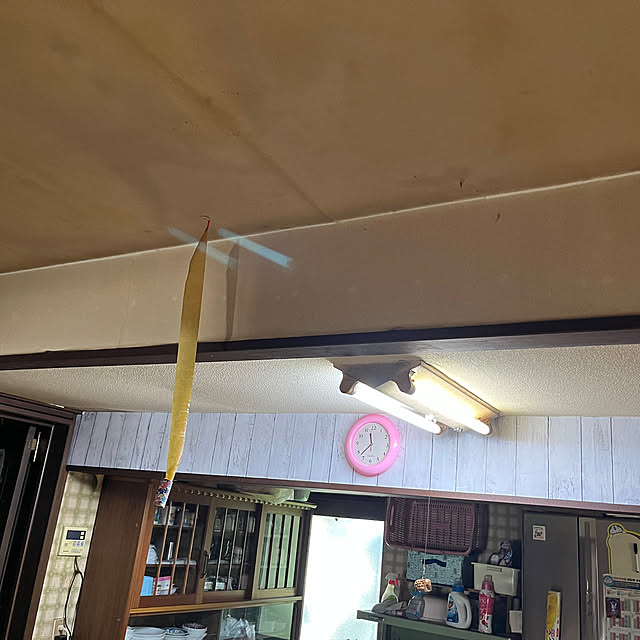 dorazonbiさんの部屋