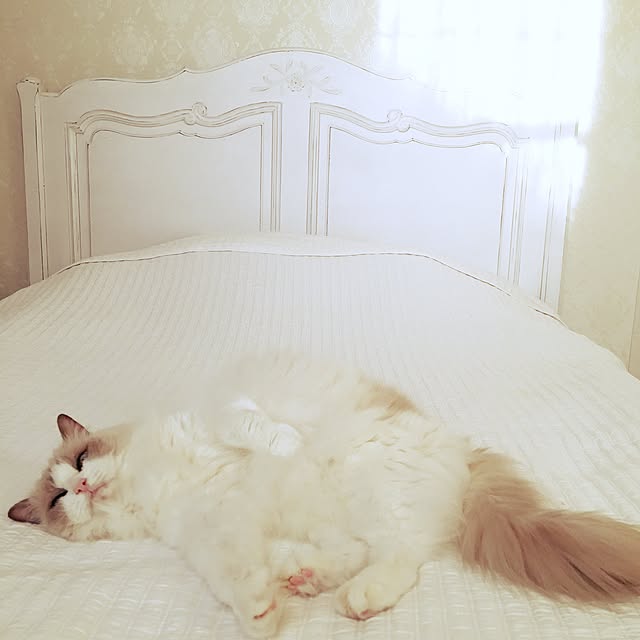 yuchiさんの実例写真