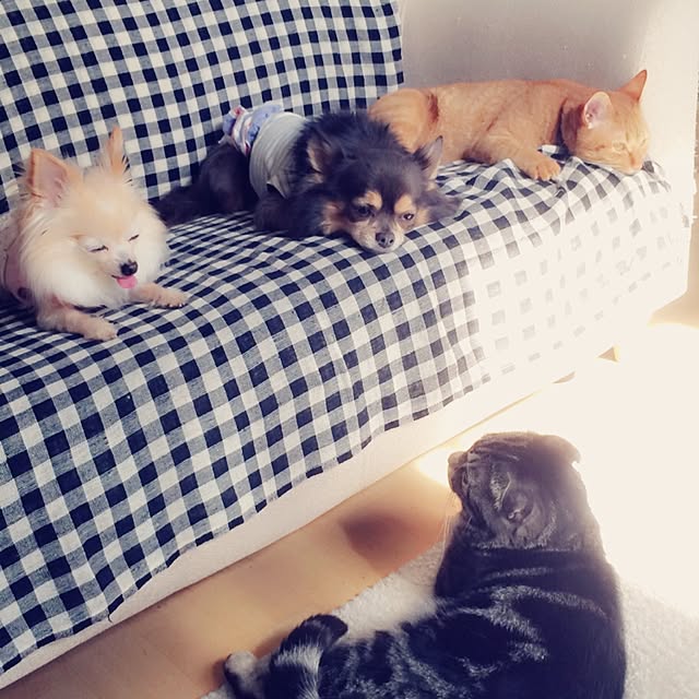 REINA612WORKSさんの実例写真