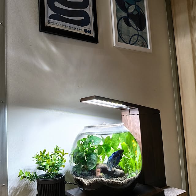 saoさんの部屋
