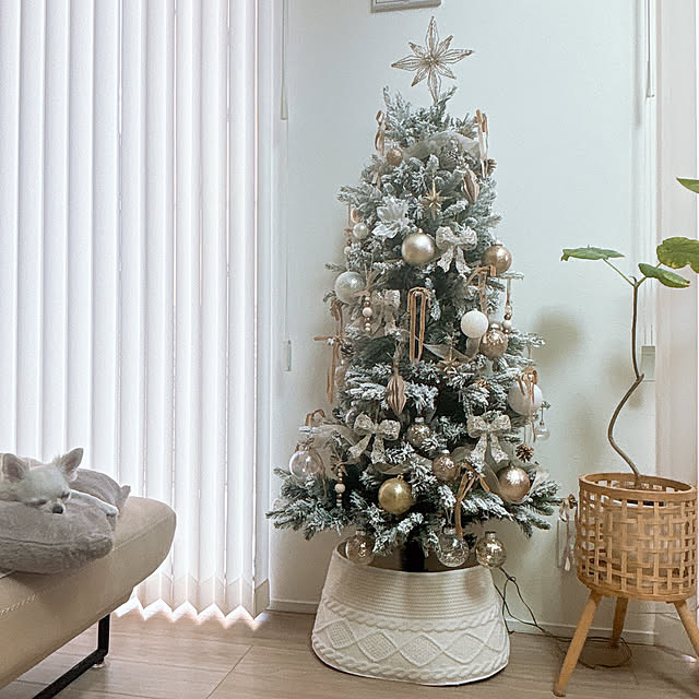 yuriさんの実例写真