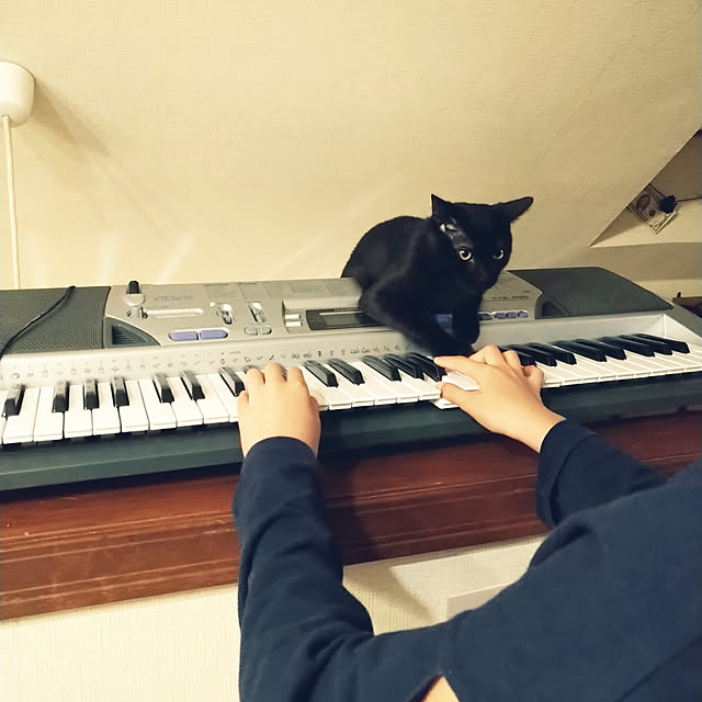 Tさんの実例写真