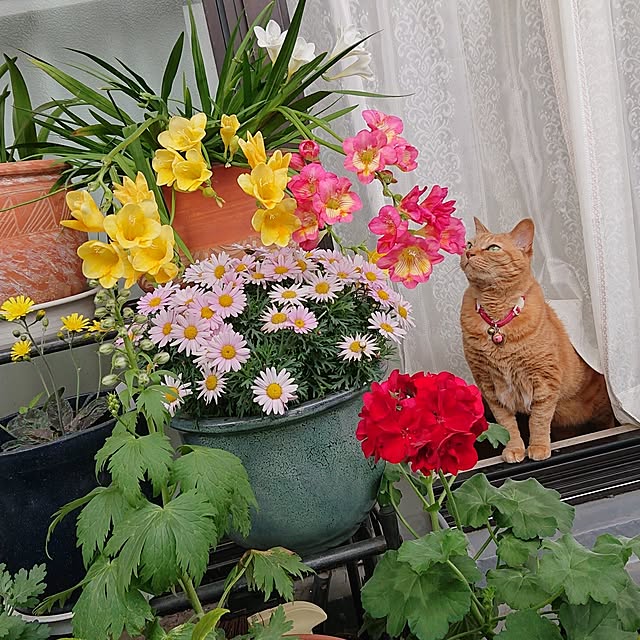 NOAHさんの実例写真