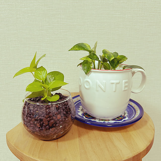 yoyoyoさんの実例写真