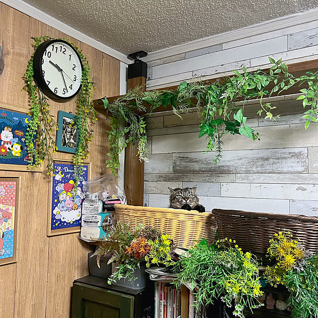 sumoanzuさんの部屋