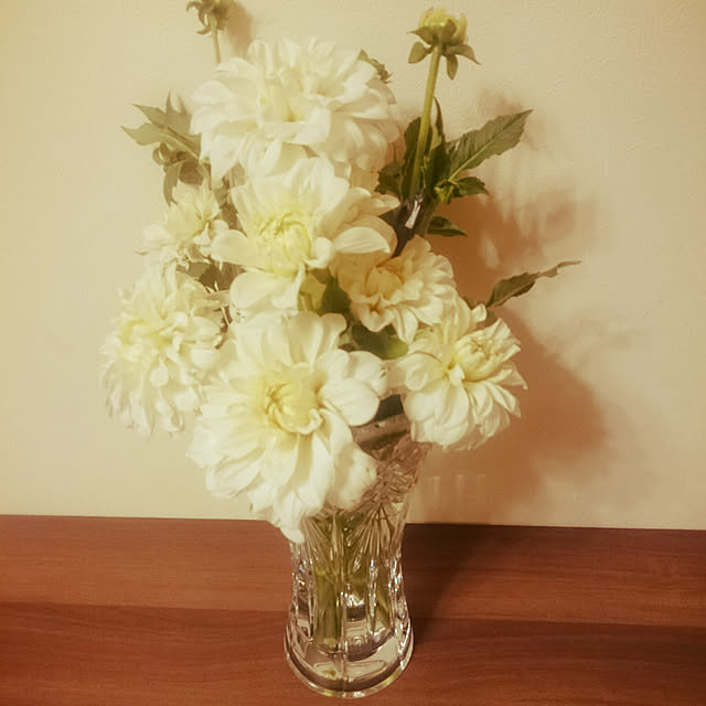 部屋全体/花瓶のお花/しげるを探せ/花のインテリア実例 - 2018-07-22 00:33:52