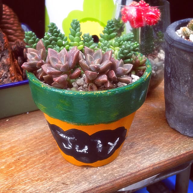 minomonさんの実例写真