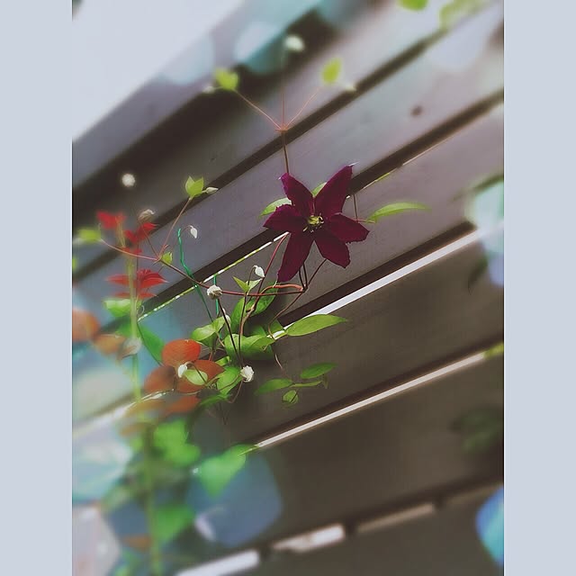 becteさんの実例写真