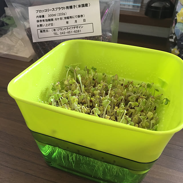 Satoshiさんの実例写真