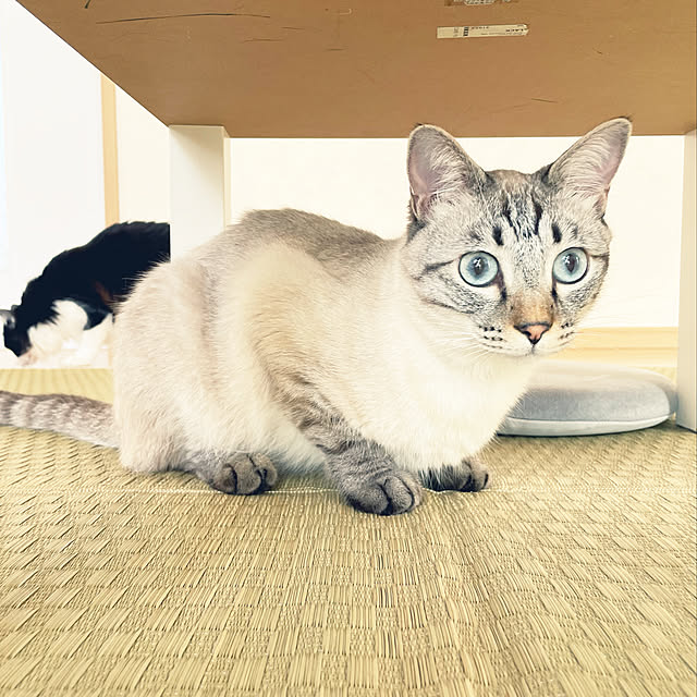 yu-さんの実例写真