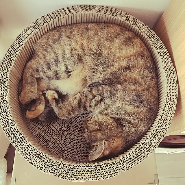 moka06さんの実例写真