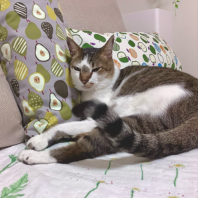 haruminさんの実例写真