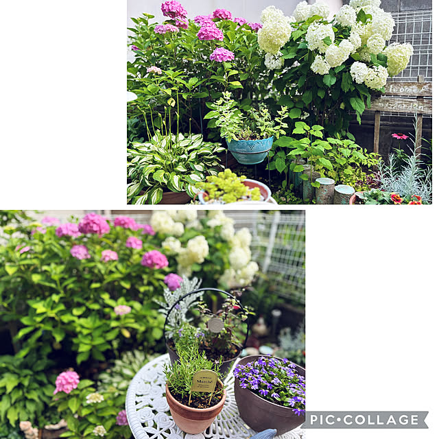 CoCo0617さんの部屋
