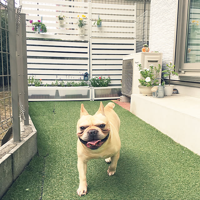 mimiさんの実例写真