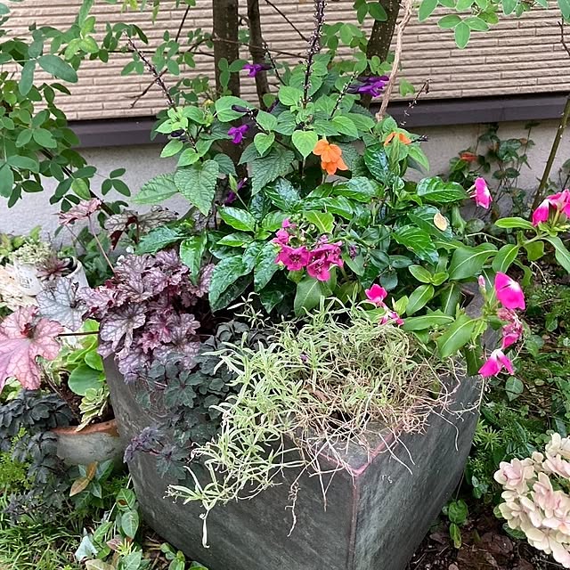 min_nimさんの実例写真