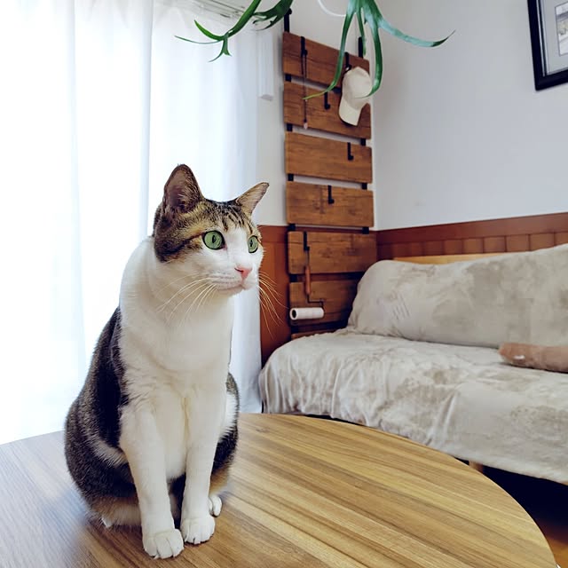 nachiさんの部屋