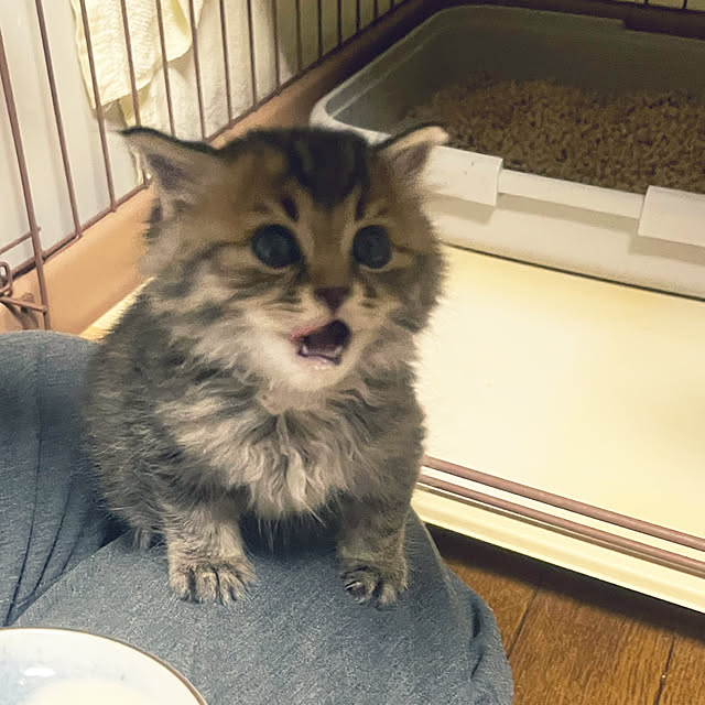Mさんの実例写真