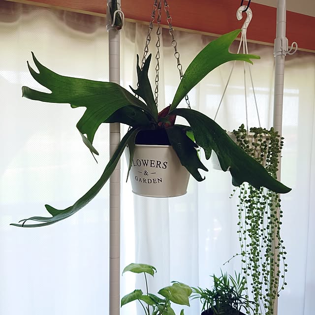 nachiさんの部屋