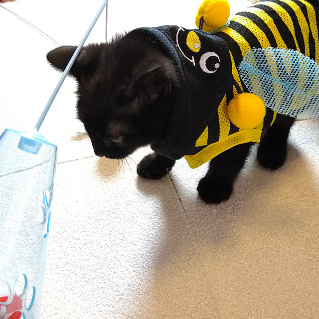 Tさんの実例写真