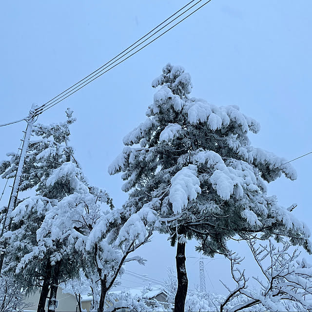 kakoさんの実例写真